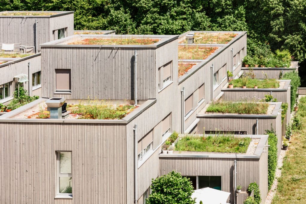 Bâtiments modernes terrassés à façades bois clair, dotés de toits végétalisés luxuriants avec sédums et fleurs, entourés d'arbres.